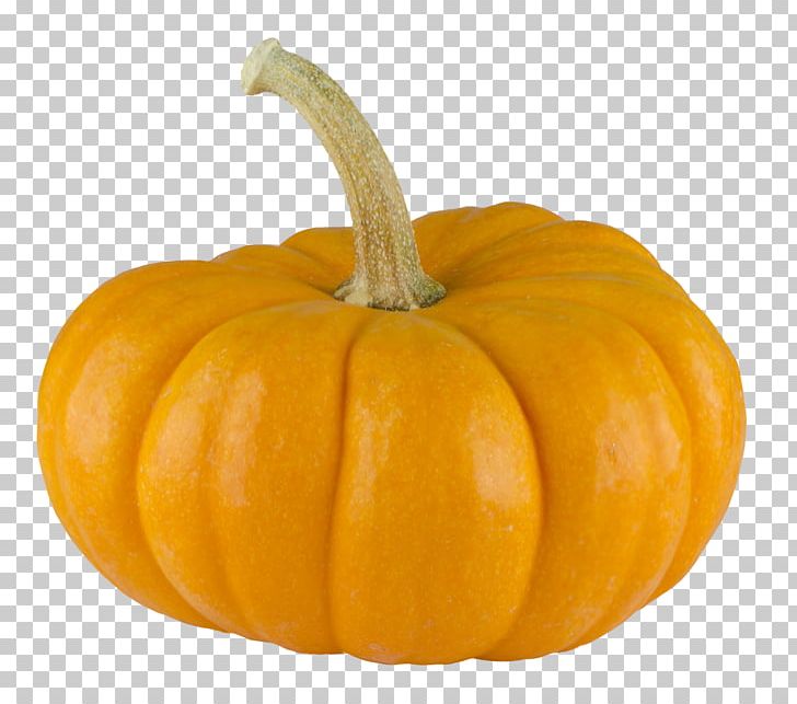 Pumpkin Pie Calabaza PNG, Clipart, Calabaza, Carving, Computer Icons, Cucumber Gourd And Melon Family, Cucurbita Free PNG Download