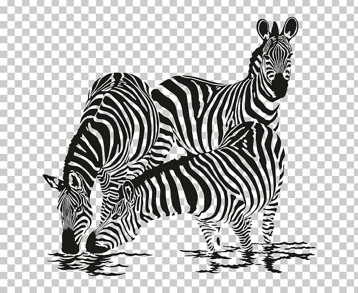 Zebra Family Drawing T-shirt Phonograph Record PNG, Clipart, Animals, Art, Big Cats, Black And White, Carnivoran Free PNG Download