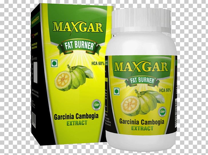 Dietary Supplement Garcinia Cambogia PNG, Clipart, Capsule, Citric Acid, Citrus, Diet, Dietary Supplement Free PNG Download