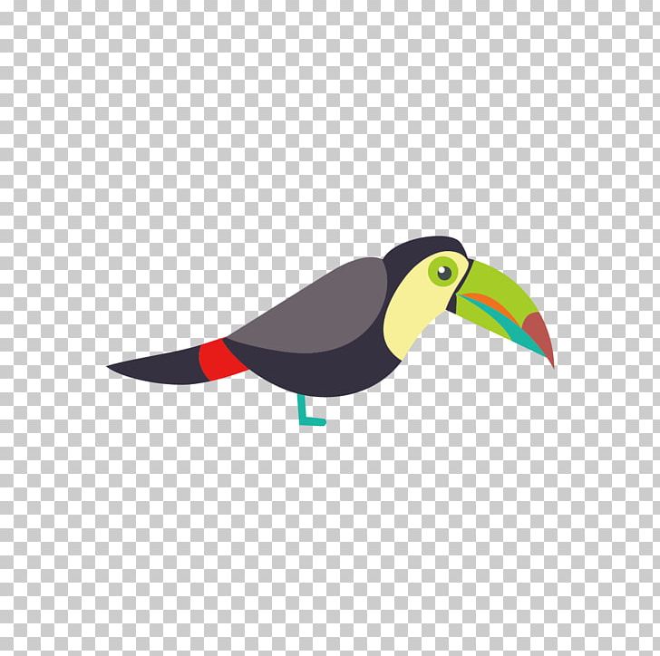 Parrot Bird Toucan Euclidean PNG, Clipart, Animal, Animals, Animation, Beak, Birds Free PNG Download
