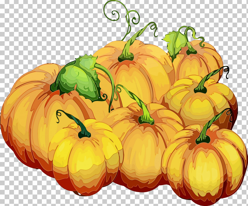 Pumpkin PNG, Clipart, Autumn, Calabaza, Food, Fruit, Natural Foods Free PNG Download