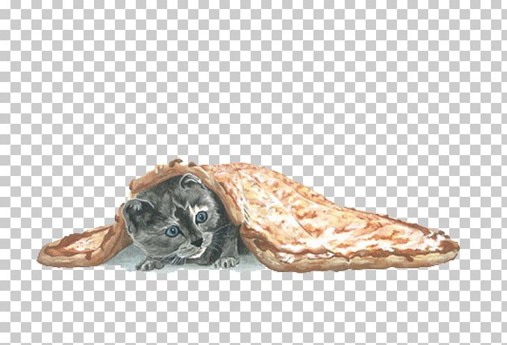 Cat Kitten Pizza Blanket PNG, Clipart, Animals, Black Cat, Blanket, Cartoon Cat, Cat Free PNG Download