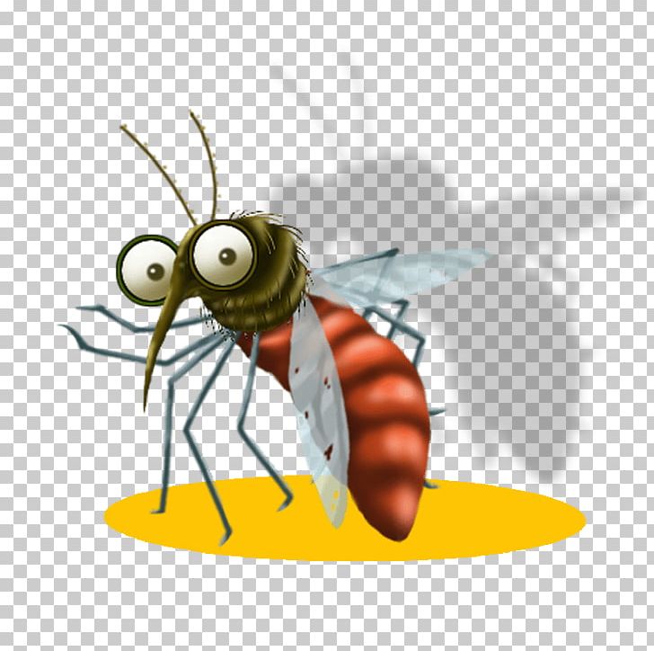 Methodist McKinney Hospital West Nile Fever Health Care PNG, Clipart, Arthropod, Bee, Collin County, Fly, Health Care Free PNG Download