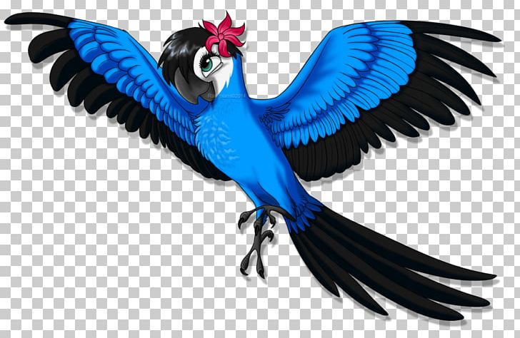 Spix's Macaw Jewel Bird Drawing PNG, Clipart,  Free PNG Download