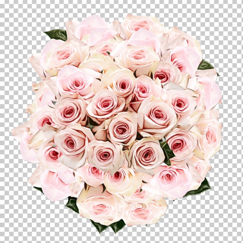 Garden Roses PNG, Clipart, Bouquet, Cut Flowers, Floribunda, Flower, Garden Roses Free PNG Download