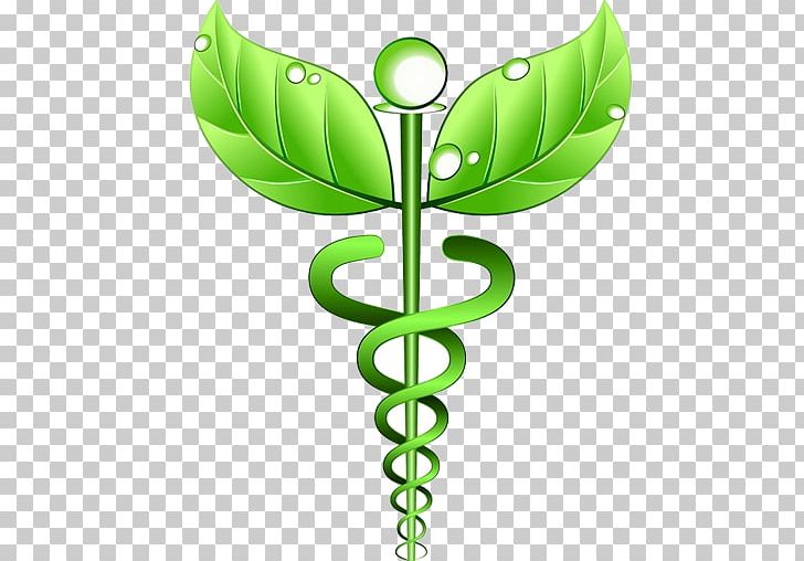 Alternative Health Services Naturopathy Medicine Staff Of Hermes Health Care PNG, Clipart, Acupuncture, Alternative Health Services, Disease, Flower, Leaf Free PNG Download