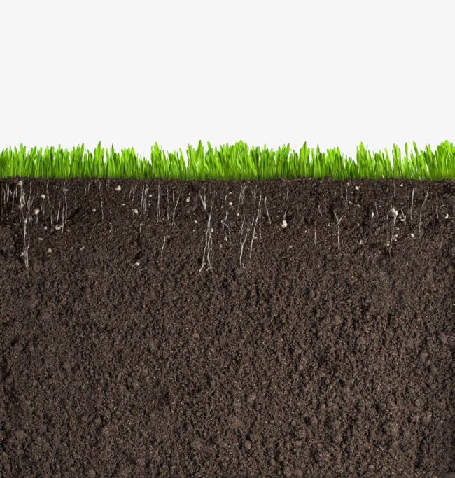 Grass Soil Cross Section PNG, Clipart, Cross Clipart, Grass, Grass