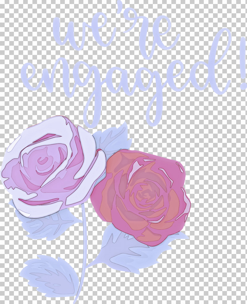 We Are Engaged Love PNG, Clipart, Cabbage Rose, Cut Flowers, Floral Design, Flower, Garden Free PNG Download