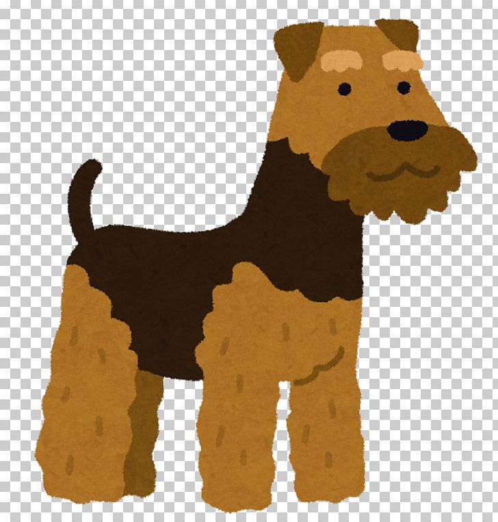 Dog Breed Irish Terrier Welsh Terrier Lakeland Terrier Companion Dog PNG, Clipart, Airedale Terrier, Animals, Breed, Carnivoran, Companion Dog Free PNG Download