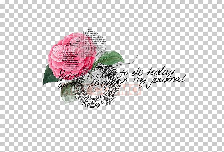 Flower Arranging Photography Others PNG, Clipart, Art, Computer Icons, Cut Flowers, Designer, Deviantart Free PNG Download