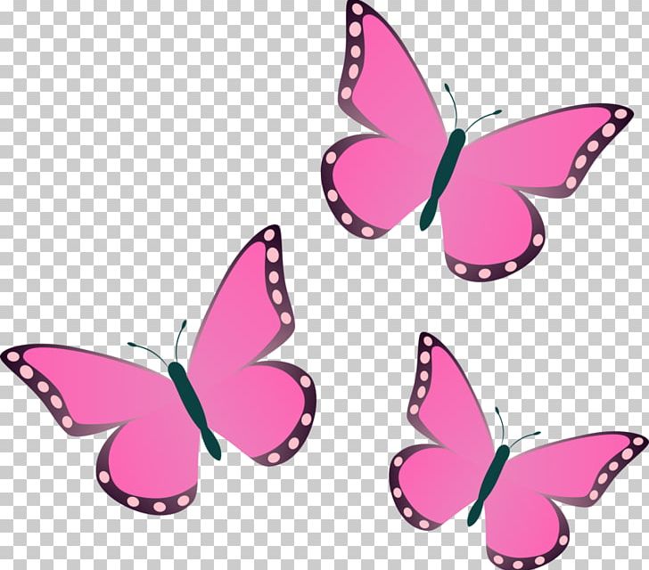Fluttershy Applejack Decal PNG, Clipart, Applejack, Art, Brush Footed Butterfly, Butterfly, Cutie Mark Crusaders Free PNG Download
