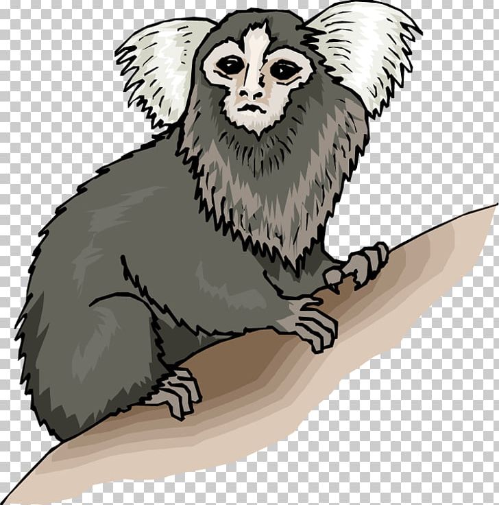 Monkey Pygmy Marmoset PNG, Clipart, Bea, Bird, Carnivoran, Common Marmoset, Desktop Wallpaper Free PNG Download