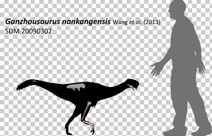 Dinosaur Xingezhuang Formation Prehistoric Animals Fossil PNG, Clipart, Black And White, Dinosaur, Fantasy, Fossil, Geological Formation Free PNG Download