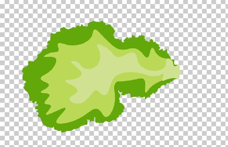 Lettuce Sandwich Wrap PNG, Clipart, Blog, Bread, Clip Art, Computer Icons, Grass Free PNG Download