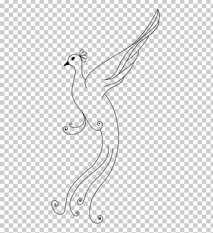 Line Art Black And White Drawing PNG, Clipart, Art, Artwork, Beak, Bird, Black And White Free PNG Download