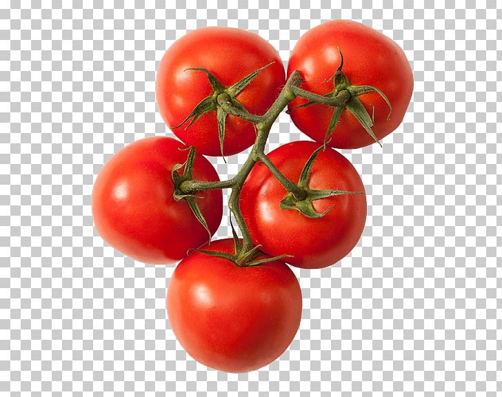 Plum Tomato Bush Tomato Organic Food Vegetable Roma Tomato PNG, Clipart, Bell Pepper, Bush Tomato, Cherry, Diet Food, Food Free PNG Download