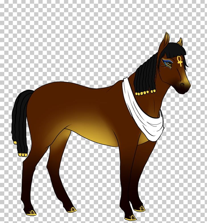 Pony Foal Mustang Stallion Mare PNG, Clipart, Bridle, Colt, Dog Like Mammal, Equestrian, Equestrian Sport Free PNG Download