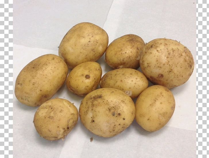 Russet Burbank Potato Yukon Gold Potato Tuber STX EUA 800 F.SV.PR USD PNG, Clipart, Food, Others, Pomme De Terre, Potato, Potato And Tomato Genus Free PNG Download