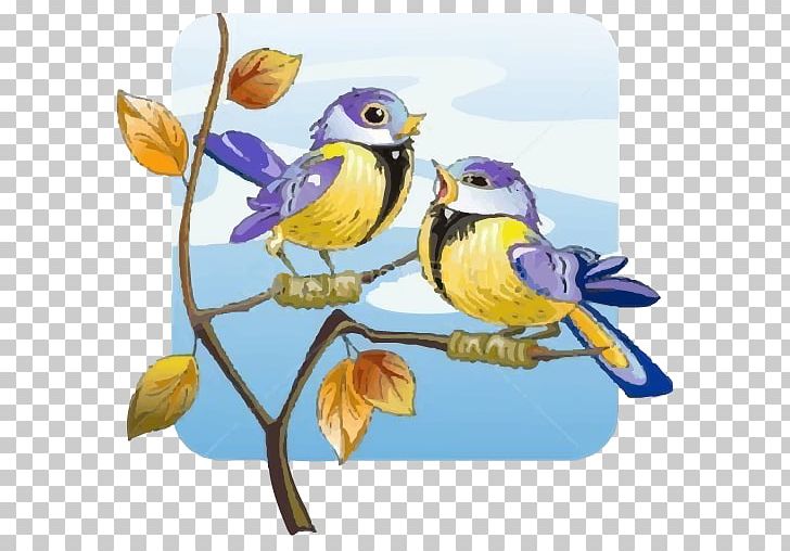 Bird PNG, Clipart, Animals, App, Art, Beak, Bird Free PNG Download