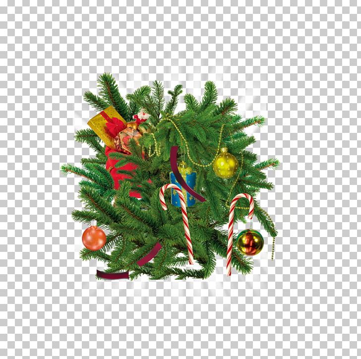 Christmas Tree Santa Claus Gift PNG, Clipart, Abstract, Christmas, Christmas Decoration, Christmas Frame, Christmas Lights Free PNG Download