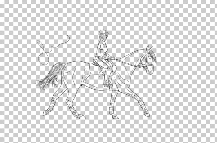 Horse Stallion Bridle Pony Art PNG, Clipart, Animals, Art, Artwork, Black And White, Bridle Free PNG Download