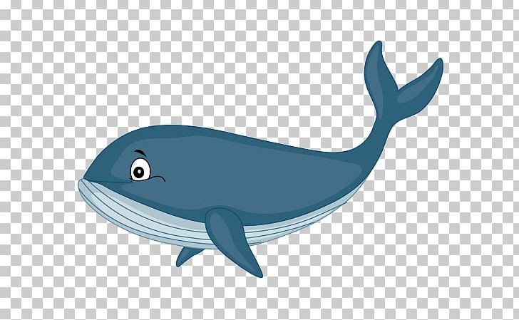 Common Bottlenose Dolphin Cetacea Cartoon Home Page PNG, Clipart, Animal, Aqua, Azure, Blue Whale, Bottlenose Dolphin Free PNG Download
