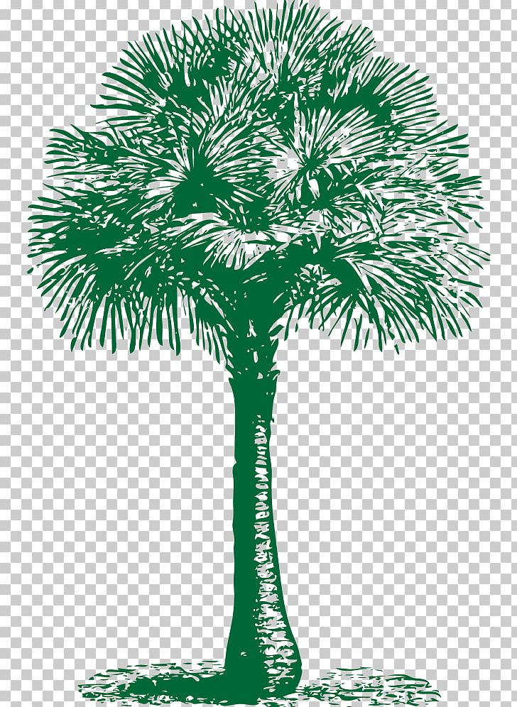 Arecaceae PNG, Clipart, Arecaceae, Arecales, Art, Asian Palmyra Palm, Borassus Flabellifer Free PNG Download