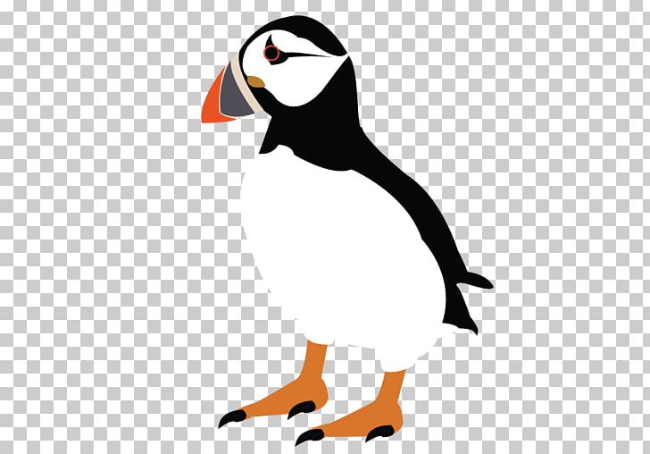Small Business Puffin Media Video Wallsend Day Nursery PNG, Clipart, Animal Figure, Artwork, Beak, Bird, Bird Wearing A Hat Free PNG Download