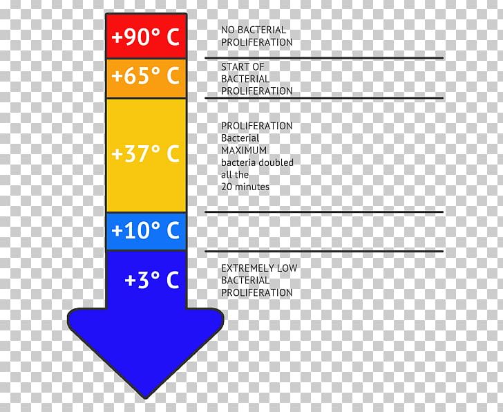 Blast Chilling Danger Zone Food Temperature Hazard Analysis And Critical Control Points PNG, Clipart, Angle, Area, Bacteria, Blast Chilling, Brand Free PNG Download