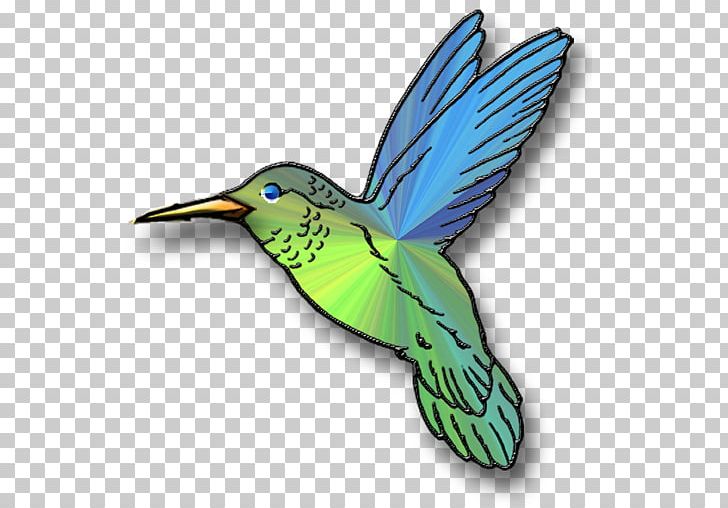 Hummingbird Drawing PNG, Clipart, Animals, Art, Beak, Bird, Bird Migration Free PNG Download