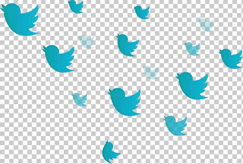 Twitter Flying Birds Birds PNG, Clipart, Aqua, Birds, Flying Birds, Teal, Turquoise Free PNG Download