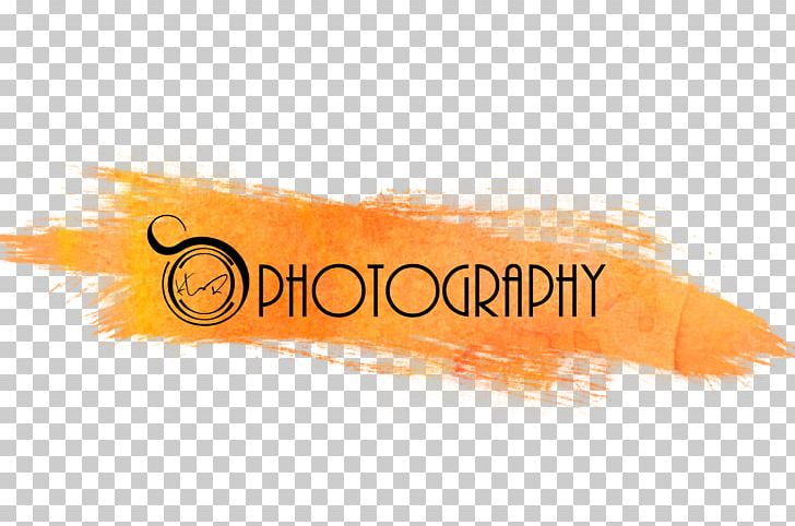 KLR Photography Photographer Portrait PNG, Clipart, Brand, Computer Wallpaper, Contact, Hampton Roads, Home Free PNG Download
