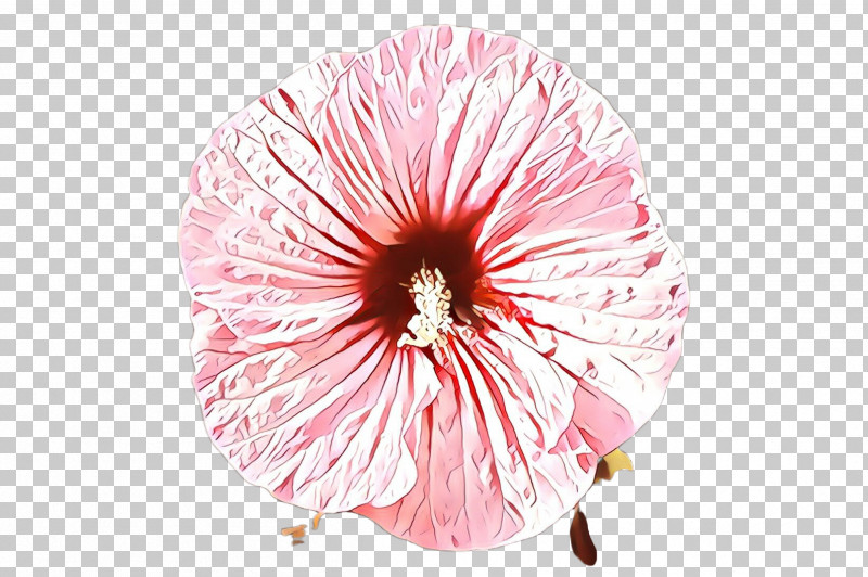Flower Pink Petal Plant Hibiscus PNG, Clipart, Cut Flowers, Flower, Geraniaceae, Geranium, Herbaceous Plant Free PNG Download