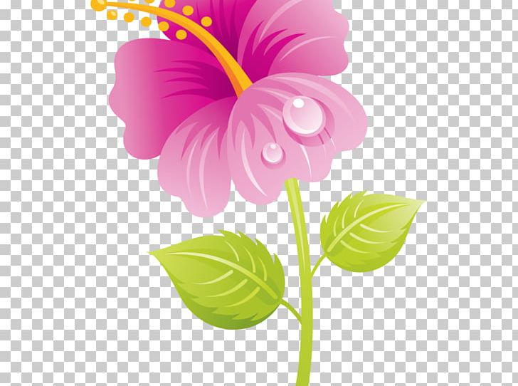 Mother's Day Portable Network Graphics Flower PNG, Clipart,  Free PNG Download