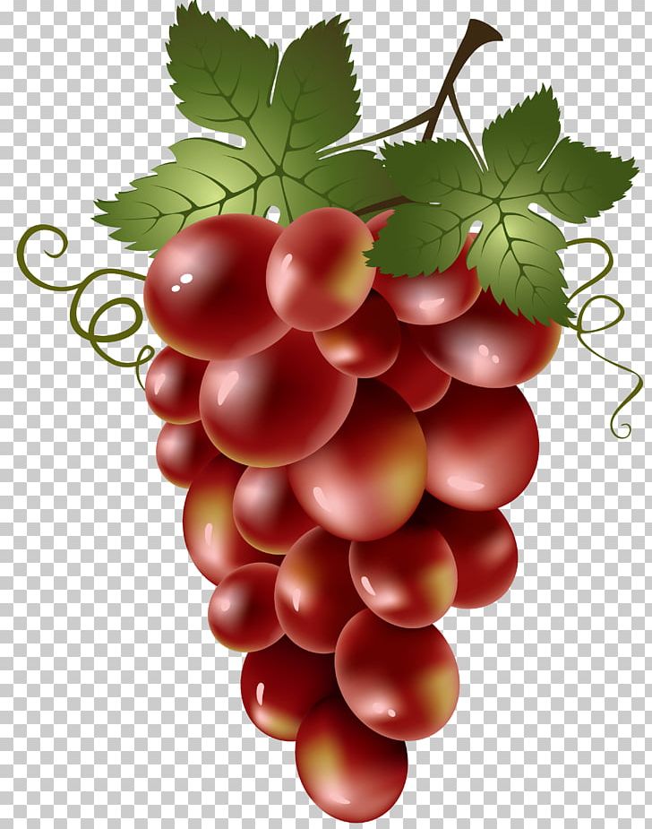 Red Wine Common Grape Vine PNG, Clipart, Cherry, Decoupage, Food, Fruit, Fruit Nut Free PNG Download