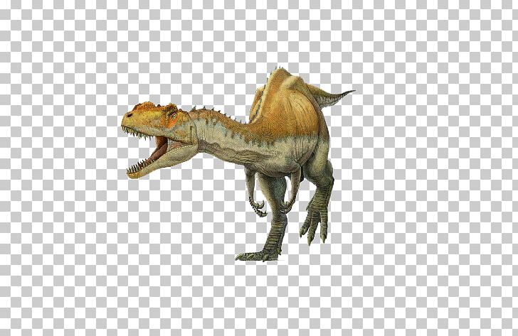 Spinosaurus Yangchuanosaurus Tyrannosaurus Metriacanthosaurus Suchomimus PNG, Clipart, 3d Dinosaurs, Allosaurus, Animation, Carnivore, Cartoon Dinosaur Free PNG Download