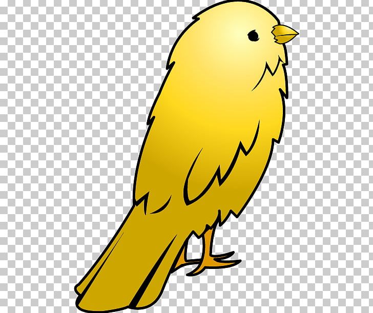 Domestic Canary Big Bird PNG, Clipart, Animal, Artwork, Atlantic Canary, Beak, Big Bird Free PNG Download