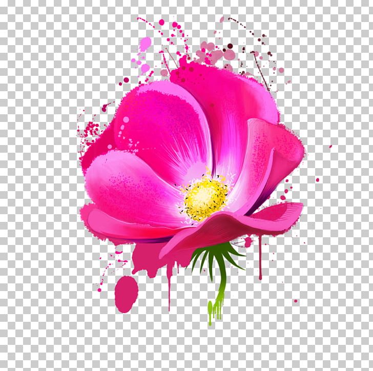 Floral Design Flower Watercolor Painting PNG, Clipart, Annual Plant, Blossom, Botanical Illustration, Computer Wallpaper, Digital Illustration Free PNG Download