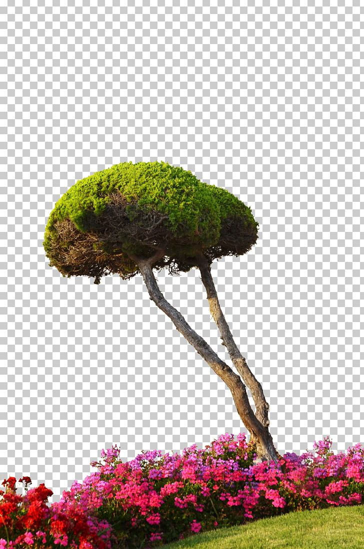 Flower Tree Plant Shrub PNG, Clipart, Alpha Compositing, Architectural Rendering, Branch, Flora, Flower Free PNG Download