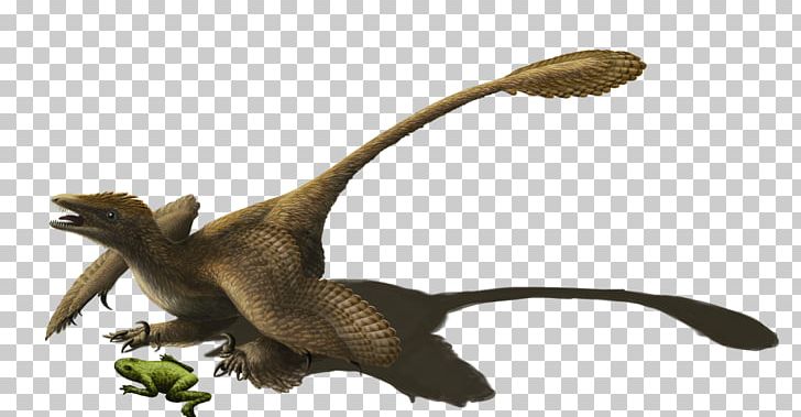Velociraptor Sinornithosaurus Microraptor Utahraptor Reptile PNG, Clipart, Animal, Animal Figure, Deinonychus, Dinosaur, Emily Willoughby Free PNG Download
