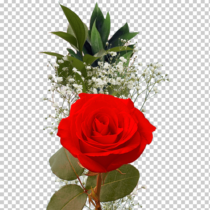 Garden Roses PNG, Clipart, Artificial Flower, Blue Rose, Cut Flowers, Floral Design, Flower Free PNG Download