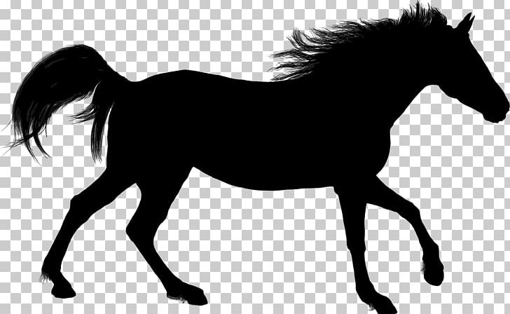 Arabian Horse American Paint Horse Silhouette Stallion PNG, Clipart, Animal, Animals, Animal Silhouettes, Art, Black And White Free PNG Download