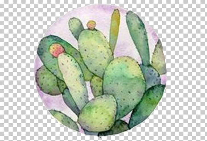 Barbary Fig Watercolor Painting Cactaceae Illustration PNG, Clipart, Back, Barbary Fig, Book Illustration, Botanical Illustration, Cactaceae Free PNG Download
