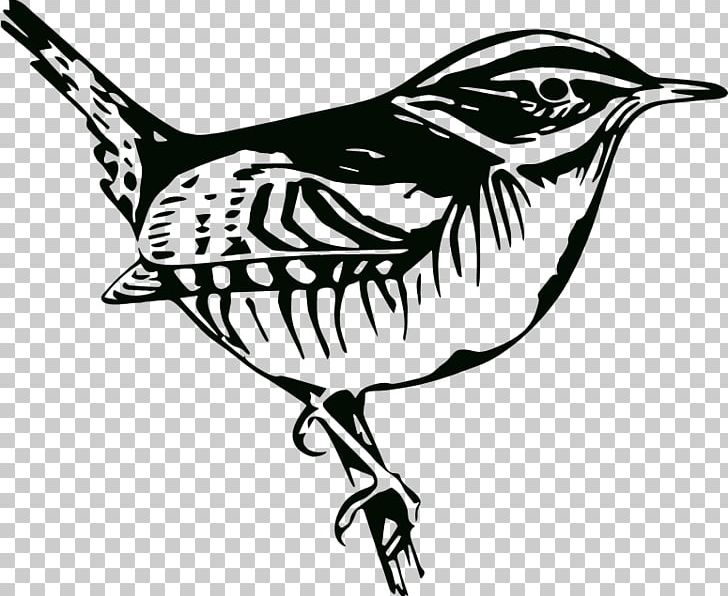 Bird Long-tailed Starling Photography PNG, Clipart, Art, Beak, Bird, Black And White, Drawing Free PNG Download