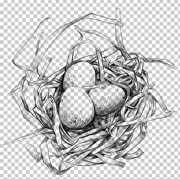 Edible Birds Nest Egg PNG, Clipart, Animals, Artwork, Bird, Bird Cage, Bird Egg Free PNG Download