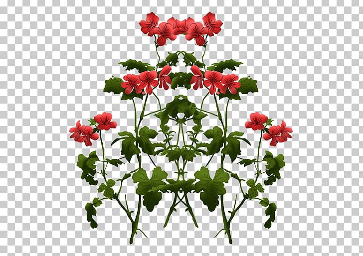 Chrysanthemum Geraniums Cut Flowers Crane's-bill Flowerpot PNG, Clipart,  Free PNG Download