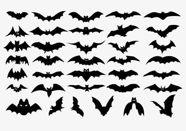 Halloween Bat PNG, Clipart, Bat, Bat Clipart, Bat Clipart, Cartoon, Elements Free PNG Download
