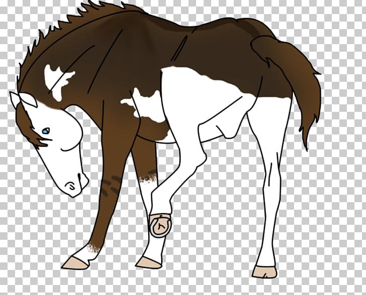 Mule Foal Stallion Mare Colt PNG, Clipart, Cartoon, Colt, Donkey, Fictional Character, Foal Free PNG Download