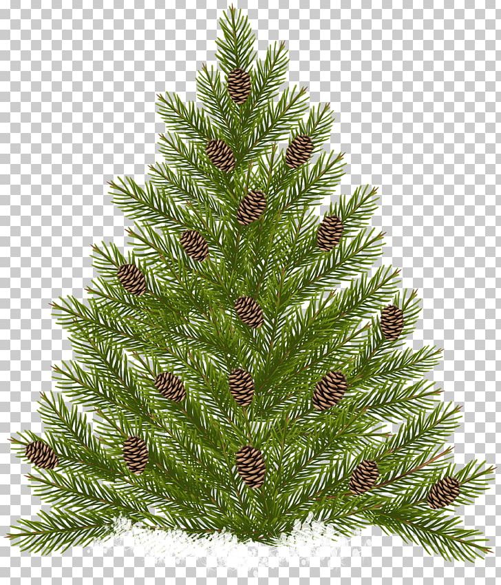 Raster Graphics Scalable Graphics PNG, Clipart, Christmas Decoration, Christmas Ornament, Christmas Tree, Clipart, Conifer Free PNG Download