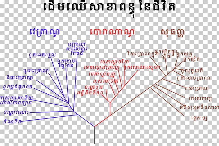 Biology Natural Science ចំណែកថ្នាក់នៃភាវៈរស់ Ecology PNG, Clipart, Angle, Area, Biology, Cell, Diagram Free PNG Download